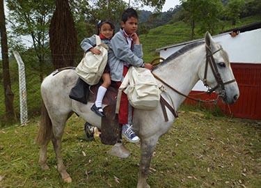 Niños montados en un caballo blanco